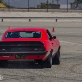 DSC_8565