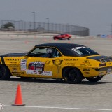 DSC_8664